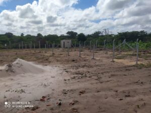 110 Painéis Solares, QCELLS 425W